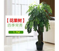 产品库