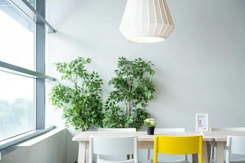 鲁迅装失恋：一首让你笑出内伤的「失恋打油诗」