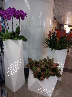 个性花卉产品租赁_个性花卉产品批发零售_高端组景组盆花卉专业租货_长沙花卉租摆_高端花卉专业设计租赁